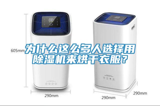 為什么這么多人選擇用除濕機(jī)來烘干衣服？