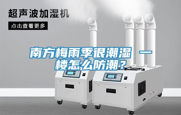 南方梅雨季很潮濕 一樓怎么防潮？