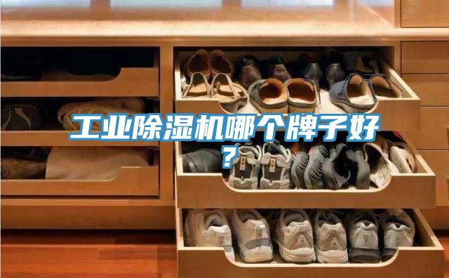 工業(yè)除濕機(jī)哪個牌子好？