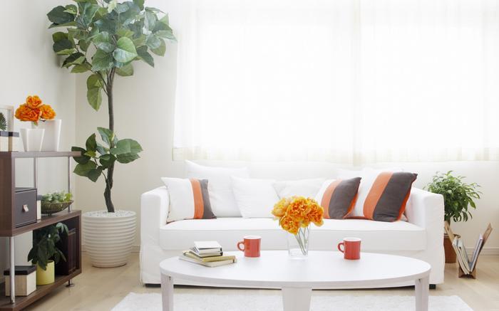 及早備好除濕機，不懼潮濕天來襲