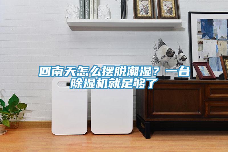 回南天怎么擺脫潮濕？一臺除濕機就足夠了