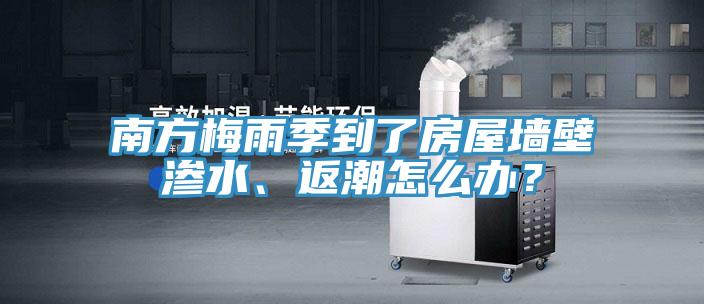 南方梅雨季到了房屋墻壁滲水、返潮怎么辦？