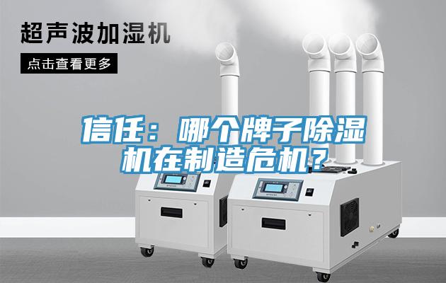 信任：哪個(gè)牌子除濕機(jī)在制造危機(jī)？