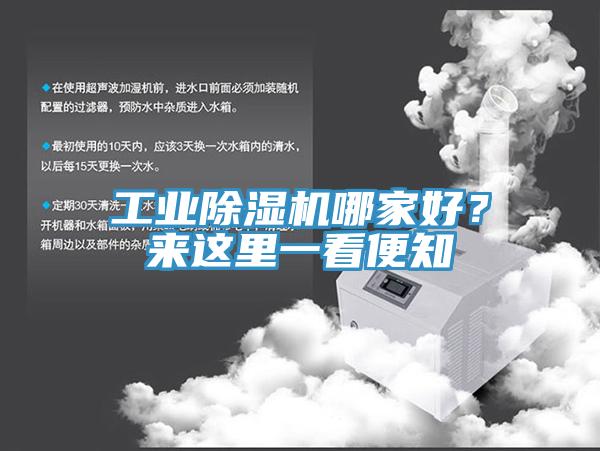 工業(yè)除濕機(jī)哪家好？來這里一看便知