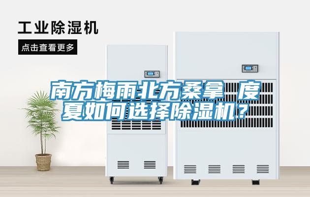 南方梅雨北方桑拿 度夏如何選擇除濕機？