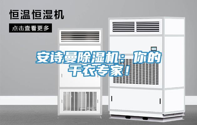 安詩(shī)曼除濕機(jī)：你的干衣專家！