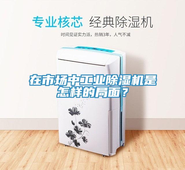 在市場中工業(yè)除濕機(jī)是怎樣的局面？