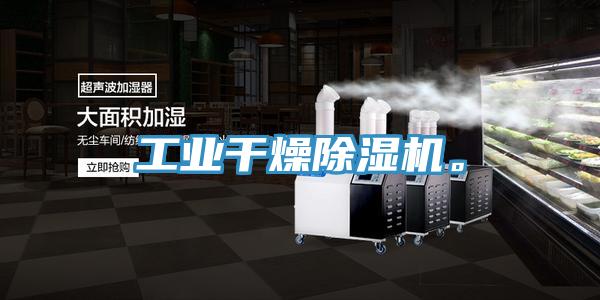工業(yè)干燥除濕機(jī)。