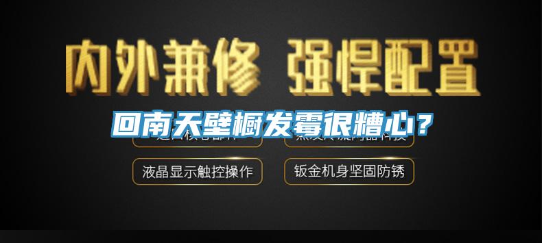 回南天壁櫥發(fā)霉很糟心？