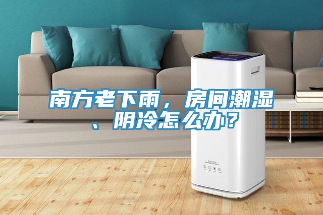 南方老下雨，房間潮濕、陰冷怎么辦？