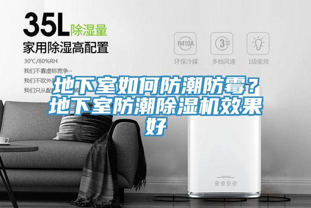 地下室如何防潮防霉？地下室防潮除濕機效果好