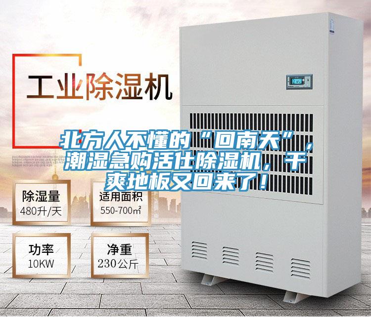 北方人不懂的“回南天”，潮濕急購(gòu)活仕除濕機(jī)，干爽地板又回來(lái)了！