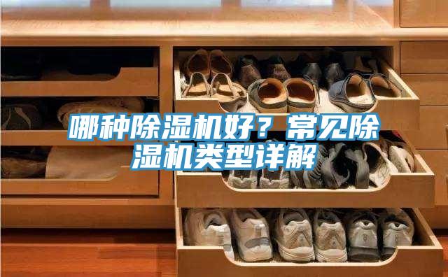 哪種除濕機(jī)好？常見(jiàn)除濕機(jī)類(lèi)型詳解