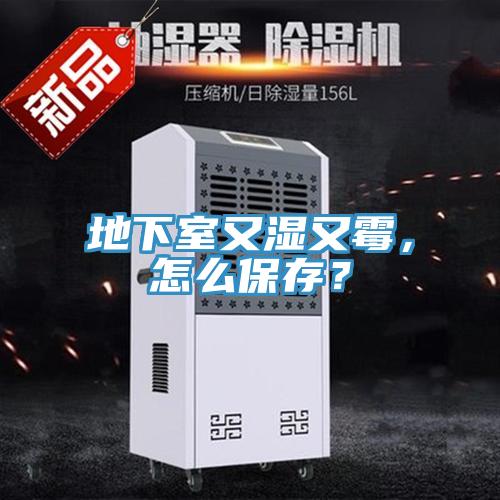 地下室又濕又霉，怎么保存？
