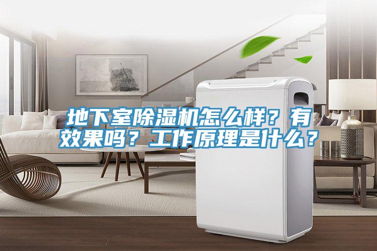 地下室除濕機(jī)怎么樣？有效果嗎？工作原理是什么？