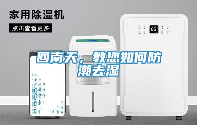 回南天，教您如何防潮去濕
