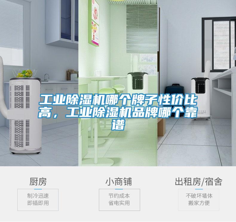 工業(yè)除濕機(jī)哪個(gè)牌子性價(jià)比高，工業(yè)除濕機(jī)品牌哪個(gè)靠譜