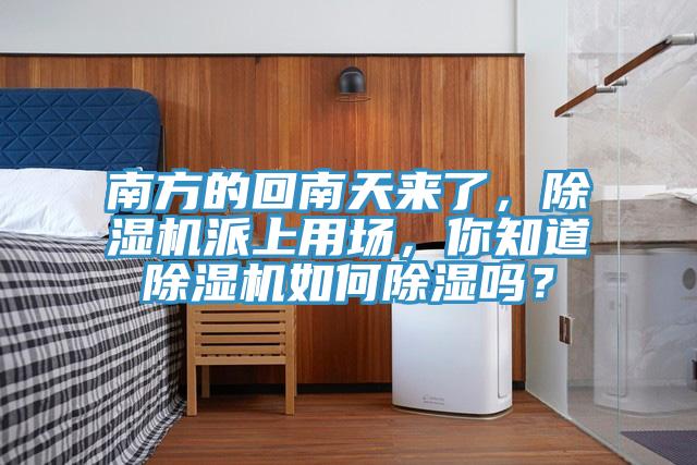 南方的回南天來了，除濕機派上用場，你知道除濕機如何除濕嗎？