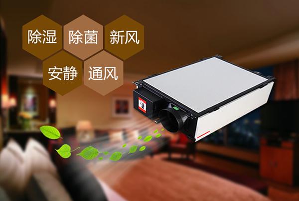 雙十一剛過，雙十二如約而至，濕冷還受得了嗎？