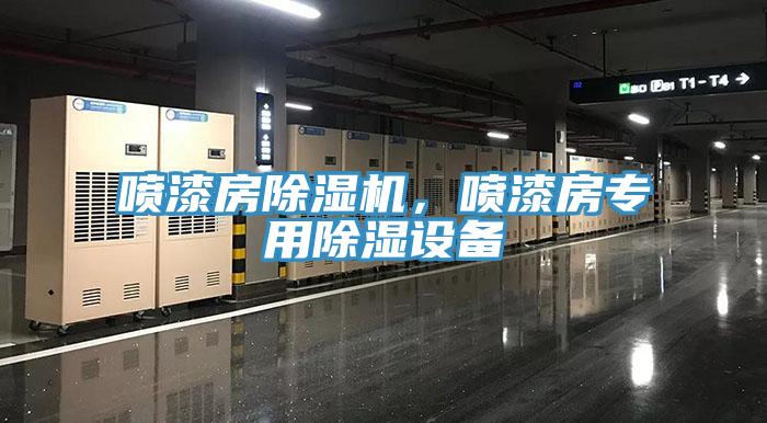 噴漆房除濕機，噴漆房專用除濕設(shè)備