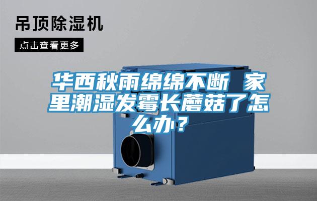 華西秋雨綿綿不斷 家里潮濕發(fā)霉長蘑菇了怎么辦？
