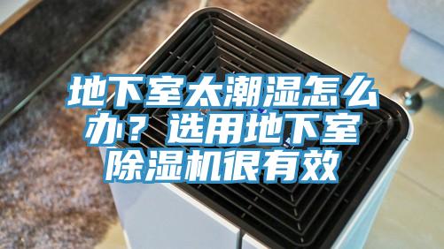 地下室太潮濕怎么辦？選用地下室除濕機很有效