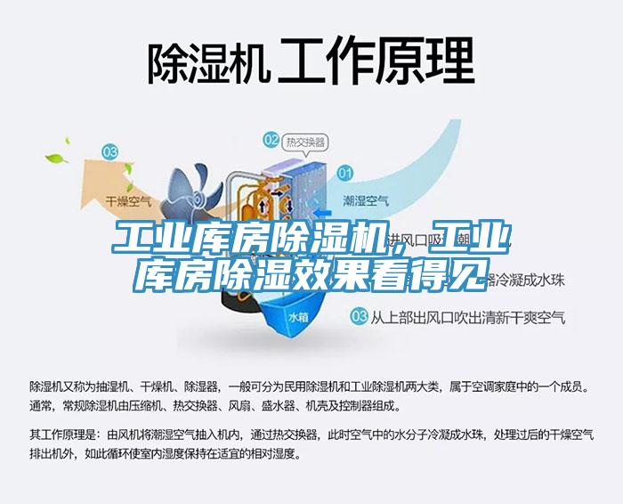 工業(yè)庫(kù)房除濕機(jī)，工業(yè)庫(kù)房除濕效果看得見