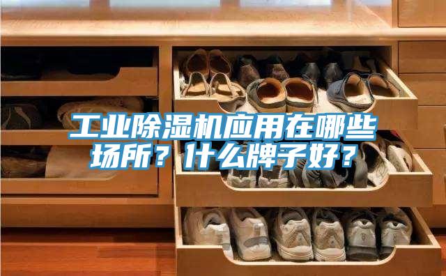 工業(yè)除濕機(jī)應(yīng)用在哪些場所？什么牌子好？