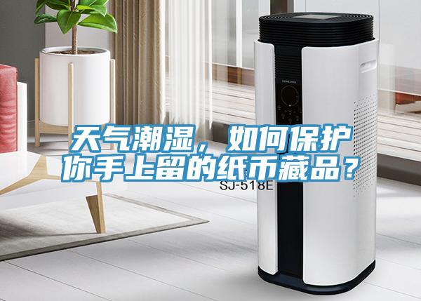 天氣潮濕，如何保護(hù)你手上留的紙幣藏品？