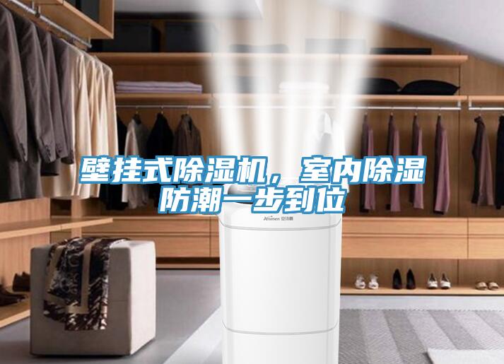 壁掛式除濕機(jī)，室內(nèi)除濕防潮一步到位