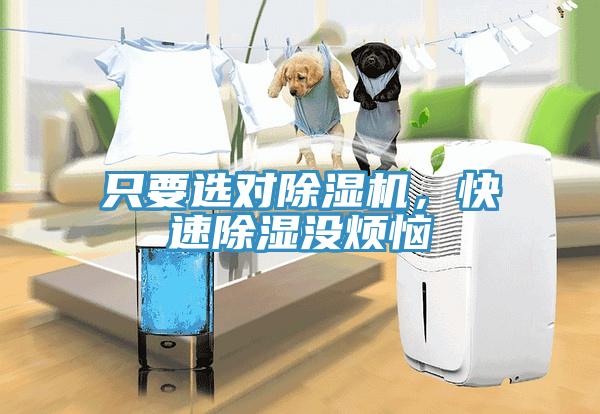 只要選對(duì)除濕機(jī)，快速除濕沒(méi)煩惱