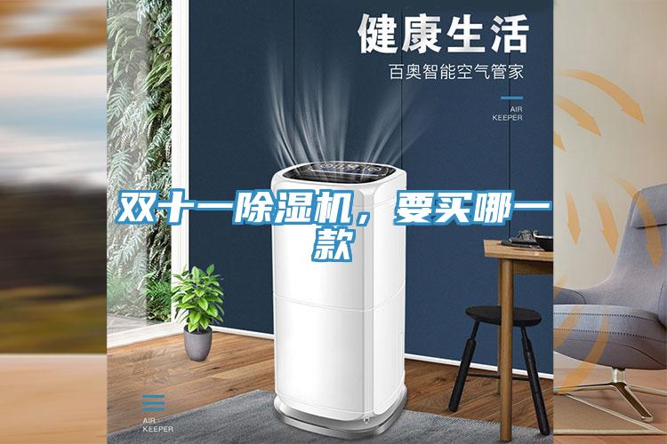 雙十一除濕機(jī)，要買哪一款