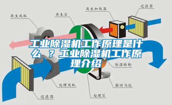 工業(yè)除濕機工作原理是什么 ？工業(yè)除濕機工作原理介紹