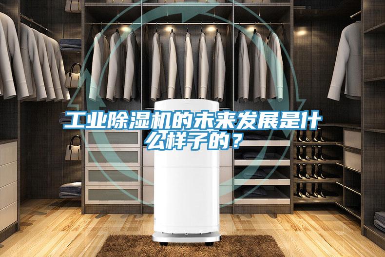 工業(yè)除濕機的未來發(fā)展是什么樣子的？