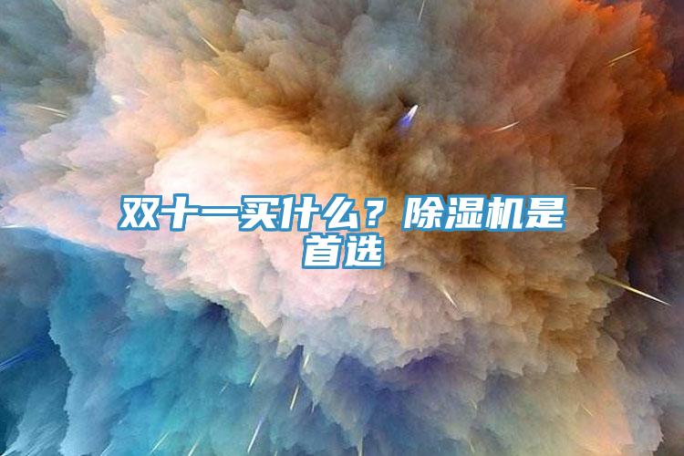 雙十一買什么？除濕機是首選