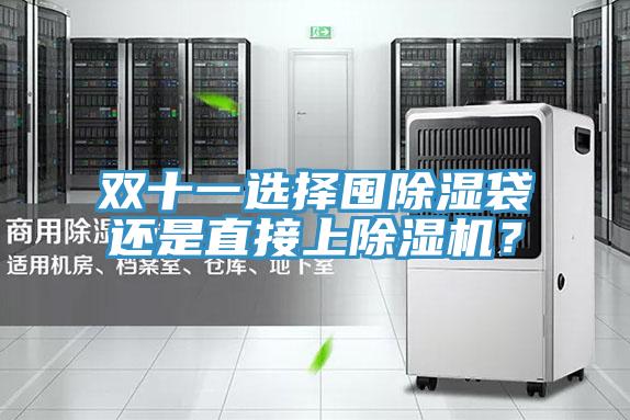 雙十一選擇囤除濕袋還是直接上除濕機(jī)？