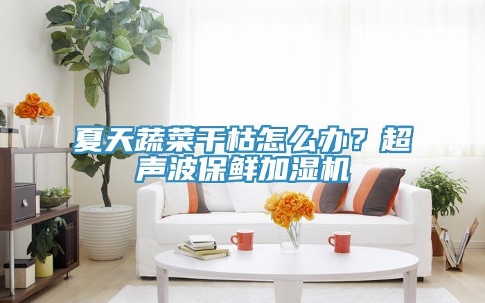 夏天蔬菜干枯怎么辦？超聲波保鮮加濕機