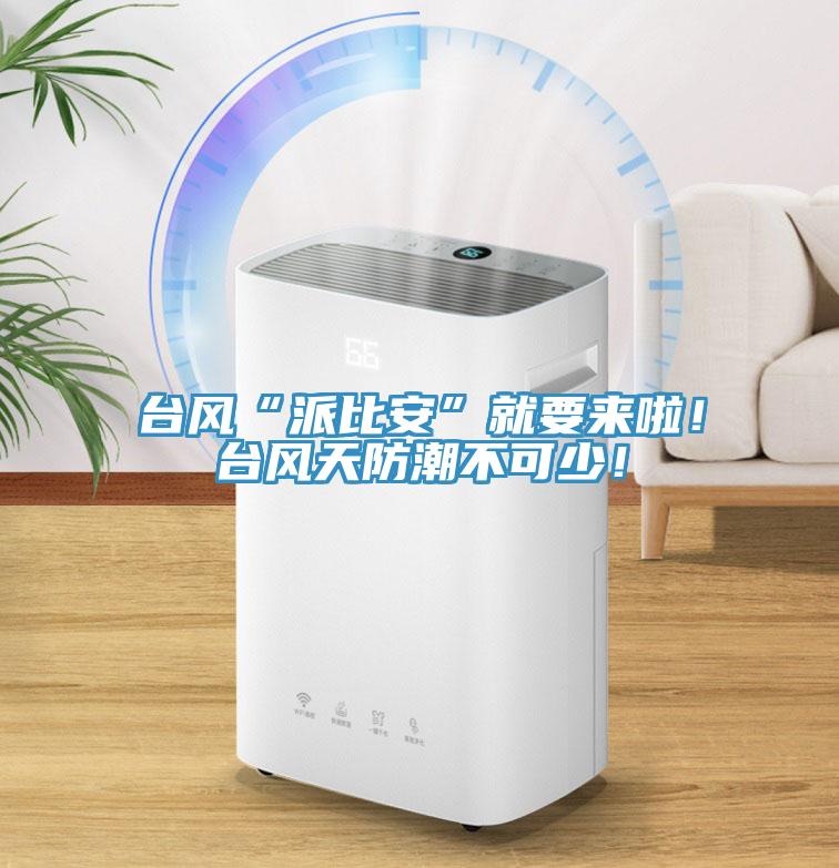 臺風(fēng)“派比安”就要來啦！臺風(fēng)天防潮不可少！