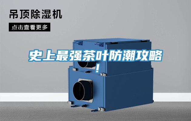 史上最強茶葉防潮攻略！