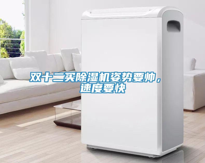 雙十二買除濕機(jī)姿勢(shì)要帥， 速度要快