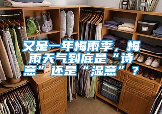 又是一年梅雨季，梅雨天氣到底是“詩意”還是“濕意”？