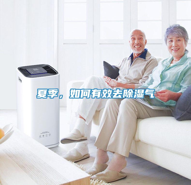 夏季，如何有效去除濕氣