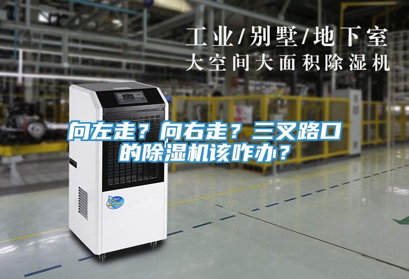 向左走？向右走？三叉路口的除濕機該咋辦？
