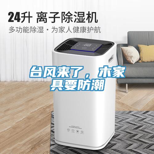 臺風(fēng)來了，木家具要防潮