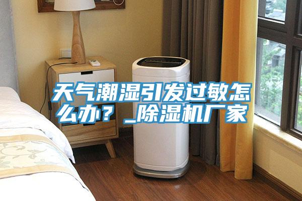天氣潮濕引發(fā)過敏怎么辦？_除濕機廠家