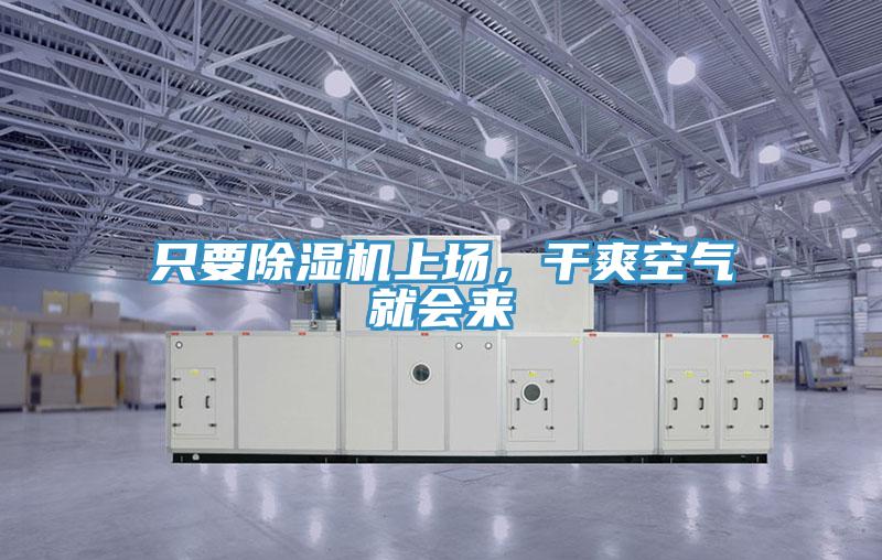 只要除濕機上場，干爽空氣就會來