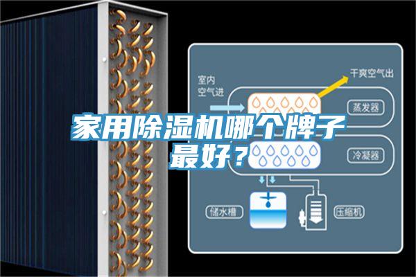 家用除濕機(jī)哪個(gè)牌子最好？