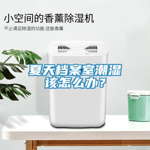 夏天檔案室潮濕該怎么辦？