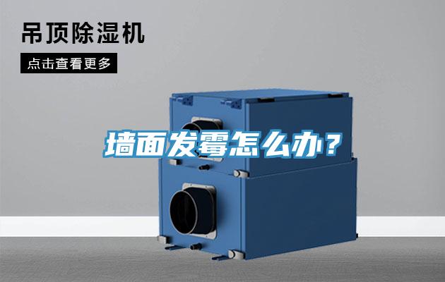 墻面發(fā)霉怎么辦？