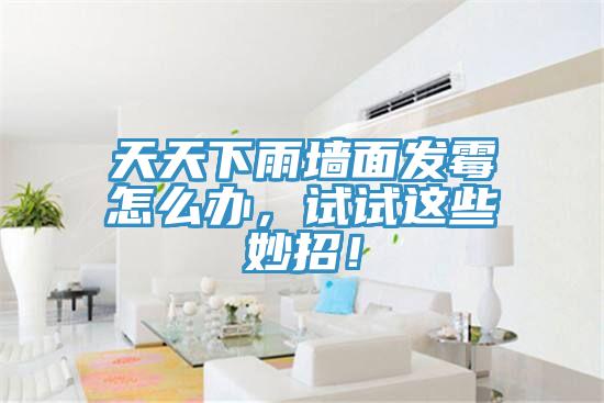 天天下雨墻面發(fā)霉怎么辦，試試這些妙招！